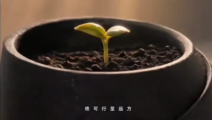 蚂蚁黑卡 · 品牌创意短片作品画面